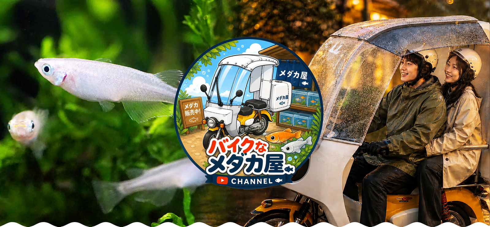 バイクなメダカ屋